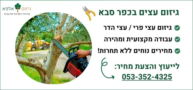 גיזום עצים בכפר סבא